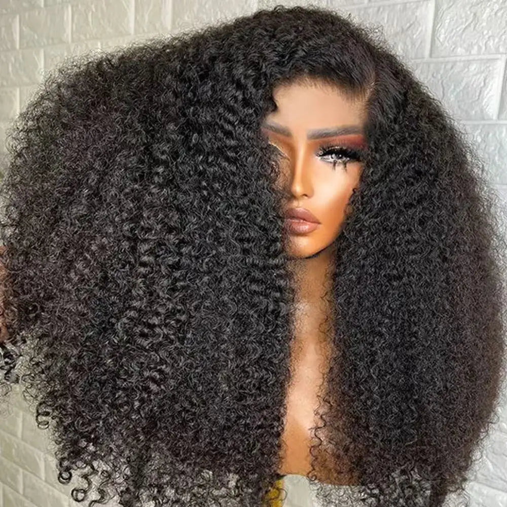 Afro Kinky Curly Wig Kinky Straight Wig Burmese Curly Wig Wholesale Human Hair Wig Pixie Wigs 13x6  Wig Glueless Lace Front Wigs