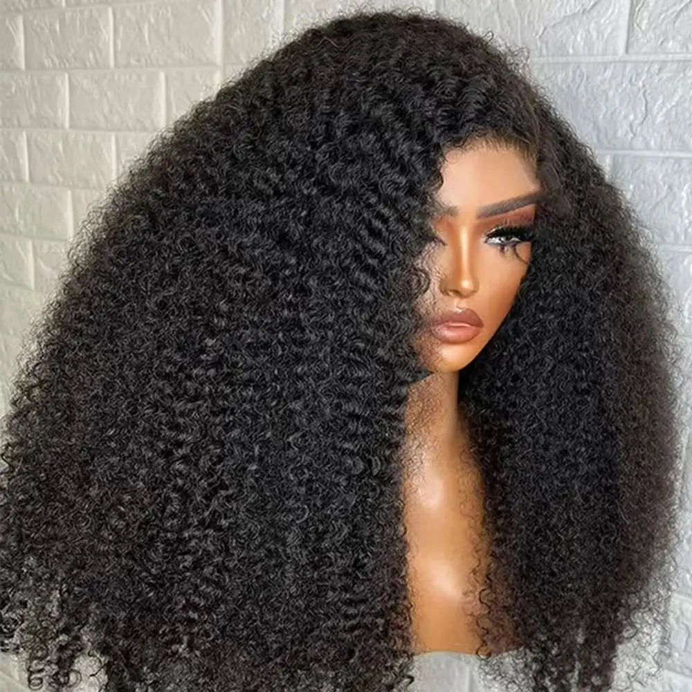 Afro Kinky Curly Wig Kinky Straight Wig Burmese Curly Wig Wholesale Human Hair Wig Pixie Wigs 13x6  Wig Glueless Lace Front Wigs